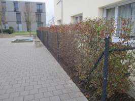 304816-0442.jpg