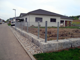 300115-1447.jpg
